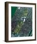 NASA - Central Park in Fall-null-Framed Art Print