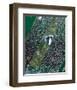 NASA - Central Park in Fall-null-Framed Art Print