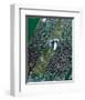 NASA - Central Park in Fall-null-Framed Art Print