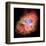 NASA - Crab Nebula - Dead Star-null-Framed Art Print