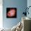 NASA - Crab Nebula - Dead Star-null-Mounted Art Print displayed on a wall