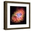 NASA - Crab Nebula - Dead Star-null-Framed Art Print