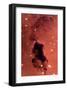 NASA - Dust Clouds in the Milky Way-null-Framed Art Print
