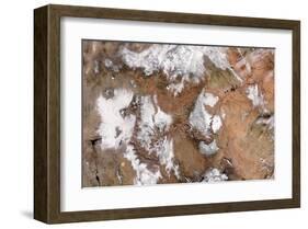 NASA - Grand Canyon-null-Framed Art Print