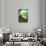 NASA/JPL: Visions Of The Future - Earth-null-Framed Stretched Canvas displayed on a wall