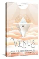 NASA/JPL: Visions Of The Future - Venus-null-Stretched Canvas