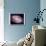 NASA - M81 Galaxy-null-Art Print displayed on a wall