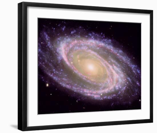 NASA - M81 Galaxy-null-Framed Art Print