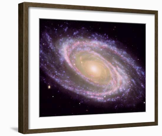 NASA - M81 Galaxy-null-Framed Art Print