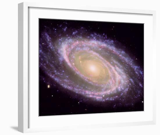 NASA - M81 Galaxy-null-Framed Art Print