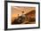 NASA Mars Curiosity Rover Spacecraft Poster-null-Framed Poster