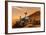 NASA Mars Curiosity Rover Spacecraft Poster-null-Framed Poster