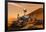 NASA Mars Curiosity Rover Spacecraft Poster-null-Framed Poster