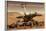 NASA Mars Exploration Rover Sprit Opportunity Photo Poster Print-null-Framed Poster