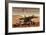 NASA Mars Exploration Rover Sprit Opportunity Photo Poster Print-null-Framed Poster