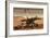 NASA Mars Exploration Rover Sprit Opportunity Photo Poster Print-null-Framed Poster