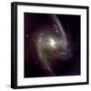 NASA - NGC 1365-null-Framed Art Print