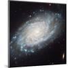 NASA - NGC 3370 Spiral Galaxy-null-Mounted Art Print