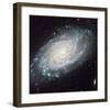 NASA - NGC 3370 Spiral Galaxy-null-Framed Art Print