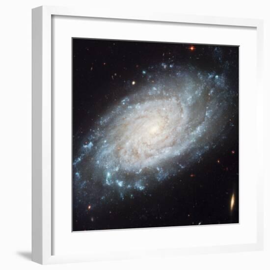 NASA - NGC 3370 Spiral Galaxy-null-Framed Art Print