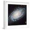 NASA - NGC 3370 Spiral Galaxy-null-Framed Art Print