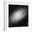 NASA - NGC 3370 Spiral Galaxy-null-Framed Art Print