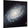 NASA - NGC 3370 Spiral Galaxy-null-Mounted Art Print