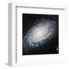 NASA - NGC 3370 Spiral Galaxy-null-Framed Art Print