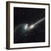 NASA - NGC 4676 Colliding Galaxies-null-Framed Art Print