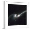 NASA - NGC 4676 Colliding Galaxies-null-Framed Art Print