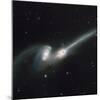 NASA - NGC 4676 Colliding Galaxies-null-Mounted Art Print