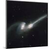 NASA - NGC 4676 Colliding Galaxies-null-Mounted Art Print