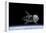 NASA Orion Spacecraft-null-Framed Poster