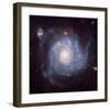 NASA - Pinwheel-Shaped Galaxy-null-Framed Art Print