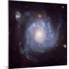 NASA - Pinwheel-Shaped Galaxy-null-Mounted Art Print