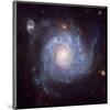 NASA - Pinwheel-Shaped Galaxy-null-Mounted Art Print