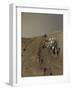 Nasa's Curiosity Mars Rover on Planet Mars-null-Framed Photographic Print