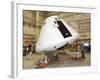 NASA's Orion Crew Module under Development-null-Framed Photo