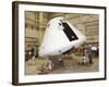 NASA's Orion Crew Module under Development-null-Framed Photo