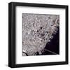 NASA - San Francisco - Downtown-null-Framed Art Print