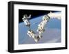 NASA Space Shuttle Arm-null-Framed Art Print