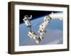 NASA Space Shuttle Arm-null-Framed Art Print