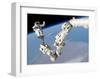 NASA Space Shuttle Arm-null-Framed Art Print