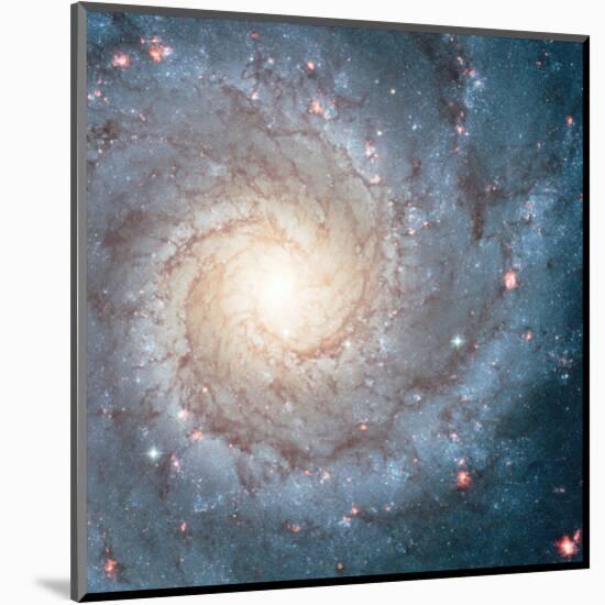 NASA - Spiral Galaxy M74-null-Mounted Art Print