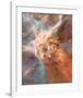 NASA - Stars Forming - Carina Nebula-null-Framed Premium Giclee Print