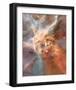 NASA - Stars Forming - Carina Nebula-null-Framed Art Print