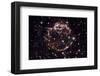 NASA - Supernova Remnant Cassiopeia A-null-Framed Premium Giclee Print