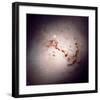 NASA - The Dusty Galaxy NGC 1316-null-Framed Art Print