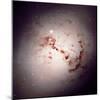 NASA - The Dusty Galaxy NGC 1316-null-Mounted Art Print