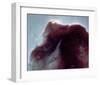 NASA - The Horsehead Nebula-null-Framed Art Print